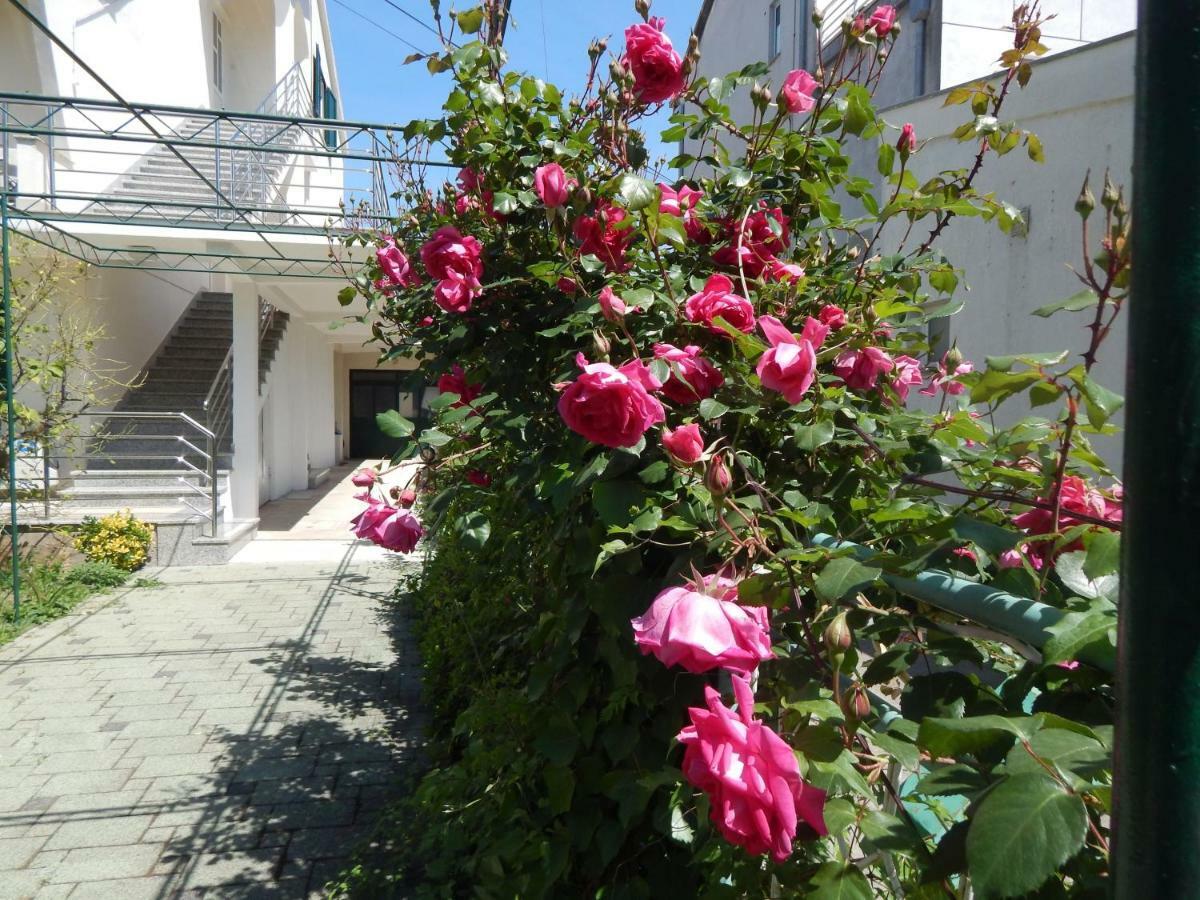 Lemon Tree Apartments Zara Esterno foto