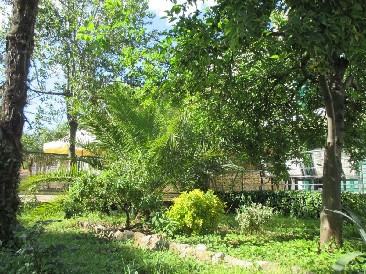 Lemon Tree Apartments Zara Esterno foto